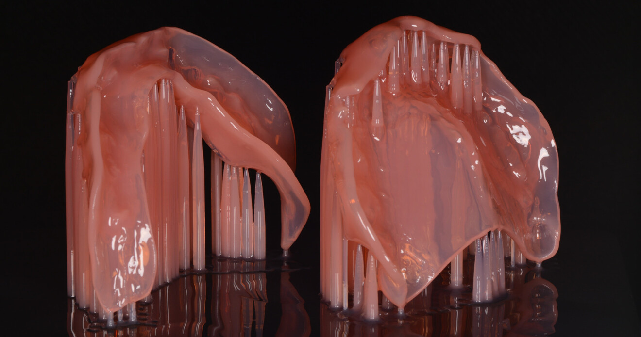 Fig. 5: 3D-printed denture bases with supporting structures on the build plate.