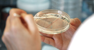 UZH: Antibiotika mit neuartiger Wirkung entdeckt