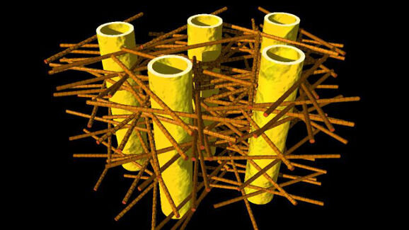 Descubren la estructura interna de la dentina