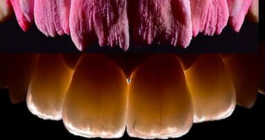 Zubotechnická ikona se představí v Česku