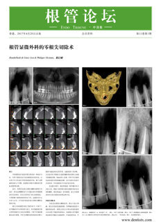 Endo Tribune China No. 1, 2017