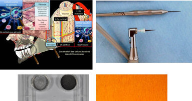 « Pushing back the limits » : Repousser les limites du possible