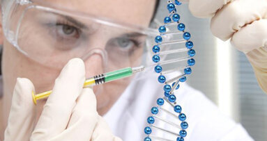 Neue Genorte für LKG-Spalte entdeckt