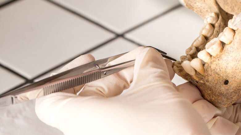 Tooth analysis reveals secrets of our earliest ancestors