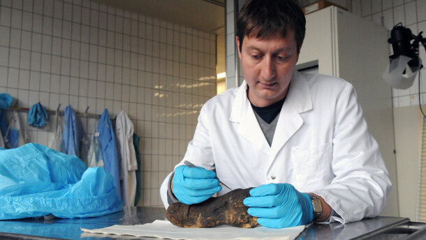 Zentrum für Evolutionäre Medizin eröffnet