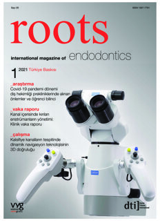 roots Turkey No. 1, 2021