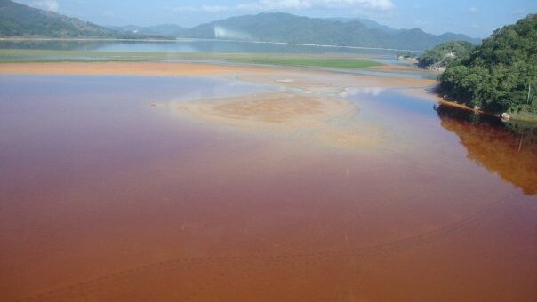 Los riesgos del mercurio para la salud