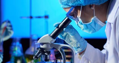 Scoperto un nuovo meccanismo per 