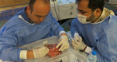 VESTA’dan İki Farklı Düzeyde, İki Farklı Eğitim