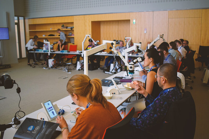 Live demo at Dr. Sebastian Bürklein's hands-on course 