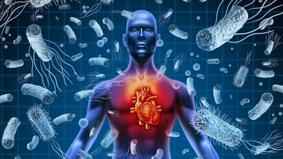 Nouvelles recommandations HAS : l’ADF accompagne les chirurgiens-dentistes pour les patients à risque d'endocardite