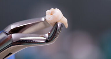 Macrolide-based molecules drive bone regeneration