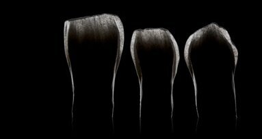 Наближава следващото издание на Bio-Emulation Colloquium