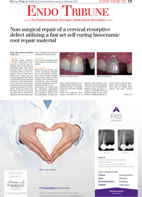 Endo Tribune Middle East & Africa No. 1, 2016