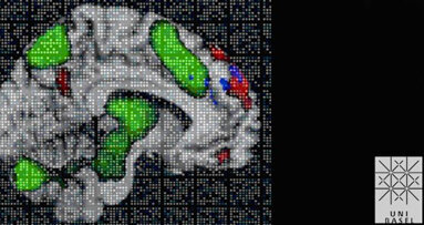 Basler Forscher entdecken Gedächtnismolekül