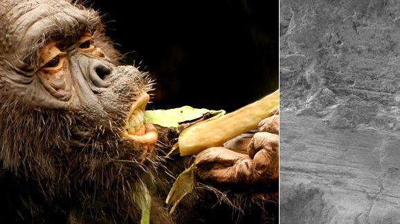 考古发现：在中国早期居民当中以发现牙科常规检查的萌芽