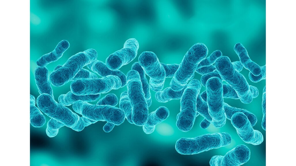 Bacteriën ontdekt die hoofd-halskanker kunnen bestrijden