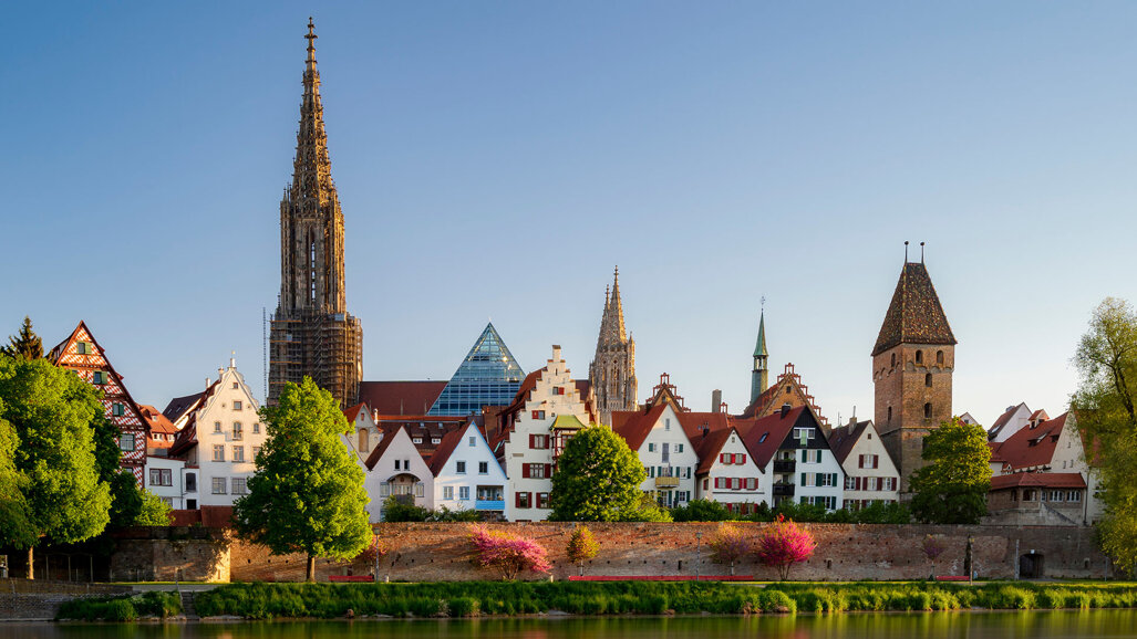 Die neue Bewegung in der Endodontie Ulm