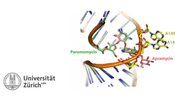 Bakterienkiller, der die Ohren verschont