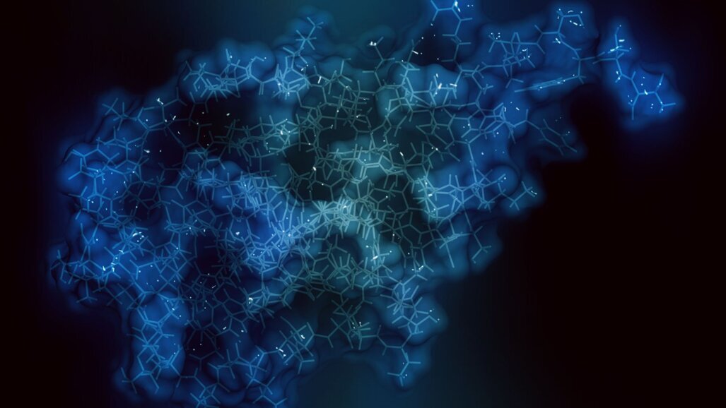 Protein science breakthroughs win the 2024 Nobel Prize in Chemistry