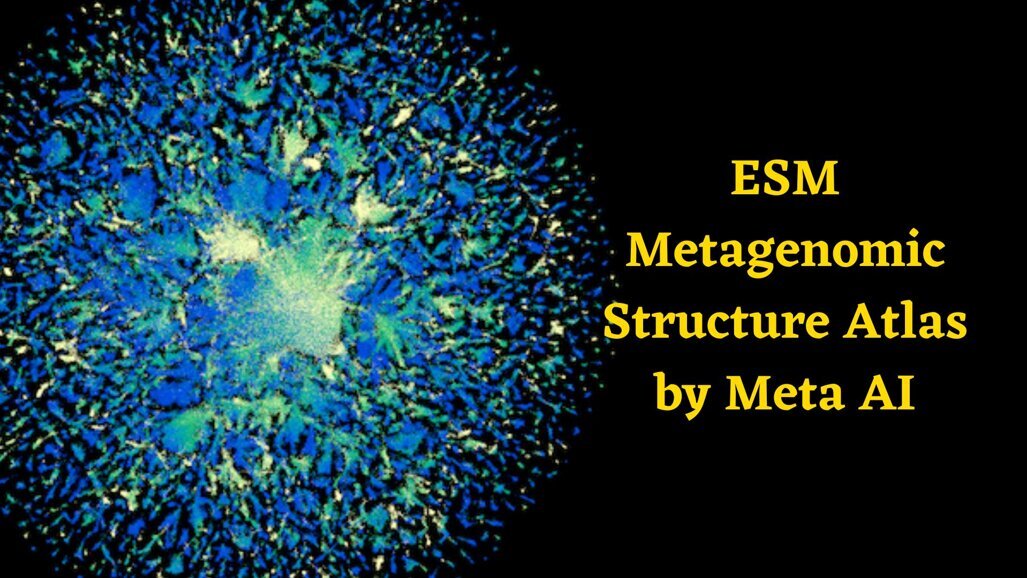 Meta enters metagenomics with protein discovery breakthrough