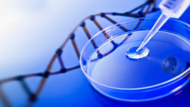 La vita aliena creata in laboratorio: sensazionale scoperta americana