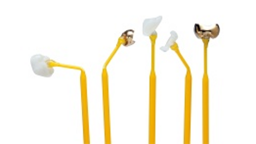 Clinical Accessories / Instruments