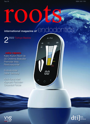 roots Turkey No. 2, 2022 roots Turkey No. 2, 2022