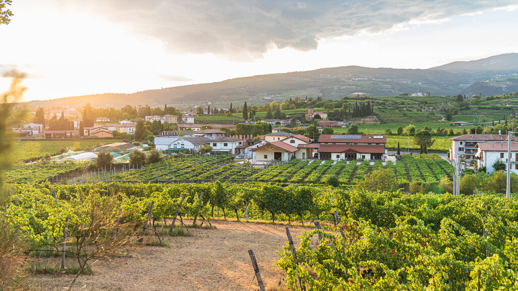 Save the Date: Giornate Veronesi 2025 am 27. und 28. Juni in Valpolicella/Italien