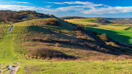 British Academy of Aesthetic Dentistry Annual Scientific Meeting 2020