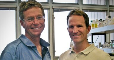 Découverte de salmonelles hypervirulentes