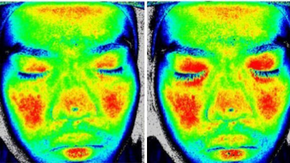 Sabores agradáveis influenciam a circulação sanguínea da face