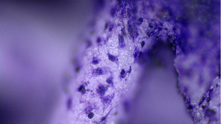 Technologie výzkumu kvality povrchů materiálů s živými buňkami in vitro