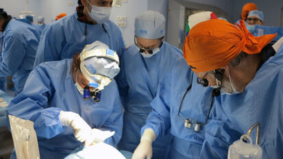 Anatomia chirurgica e dissezione su preparati anatomici