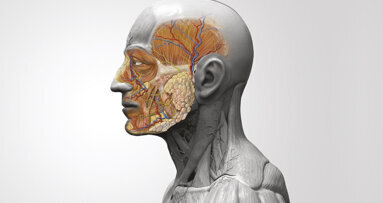 Dissezione anatomica in chirurgia orale: Guida per un’operatività consapevole