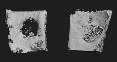 Gli scienziati creano un biopatch per rigenerare l’osso