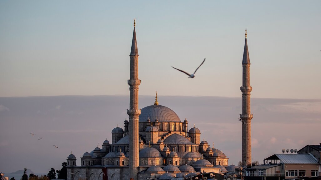 International Dental Summer Camp Istanbul 2018