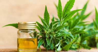 Kannabinoidy zwalczają płytkę skuteczniej niż chlorheksydyna