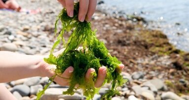 Otkriven je enzim koji rastvara plak u ustima