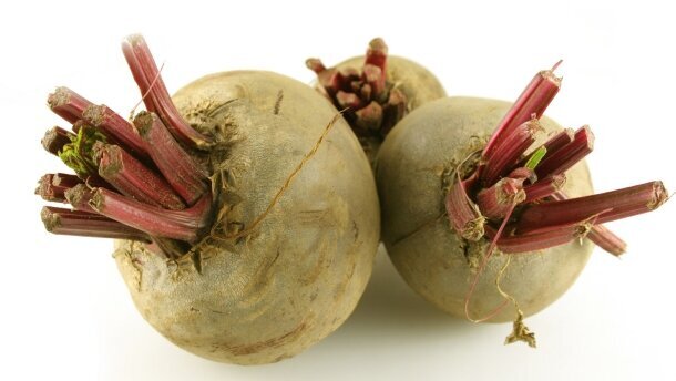 Naukowcy badają właściwości prozdrowotne buraków ćwikłowych