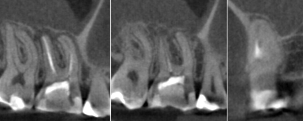 Figs. 1a–c. (All images: Bartłomiej Karaś and Grzegorz Witkowski)