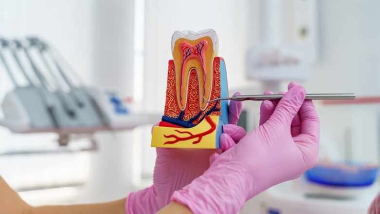 Deutsche Zahnmedizin gibt ein gutes Bild ab