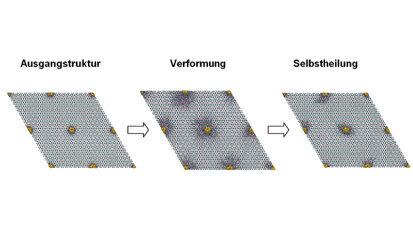 Eiweiß für Regeneration des Zahnschmelzes verantwortlich