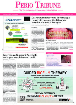 Perio Tribune Italy No. 2, 2019