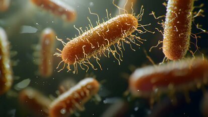 Revolution der Parodontitisbehandlung durch neues Antibiotikum?