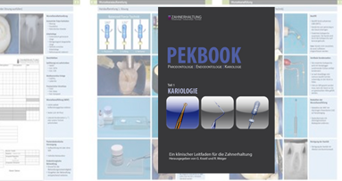 Ein klinischer Leitfaden: PEKBOOK Endodontologie