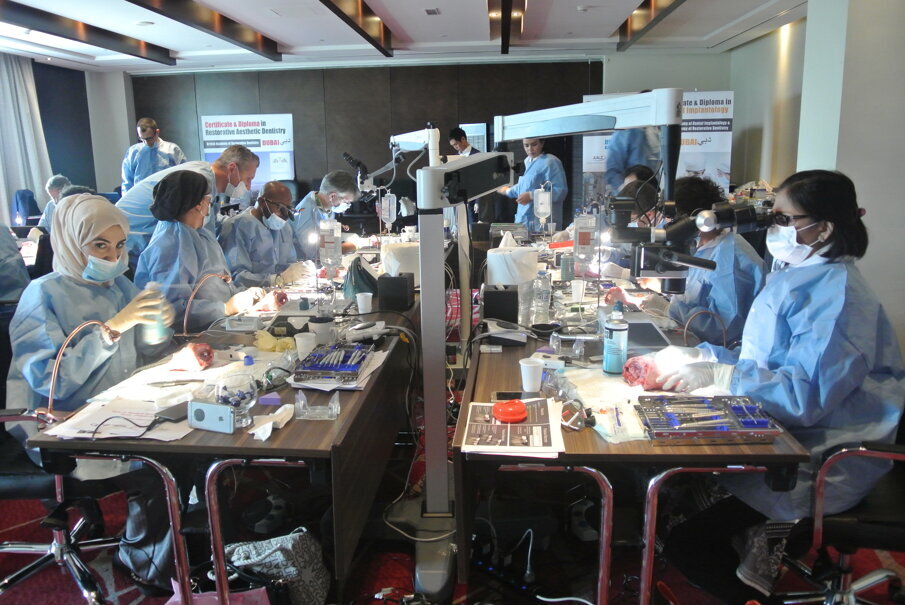 Hands-on training during Module 6