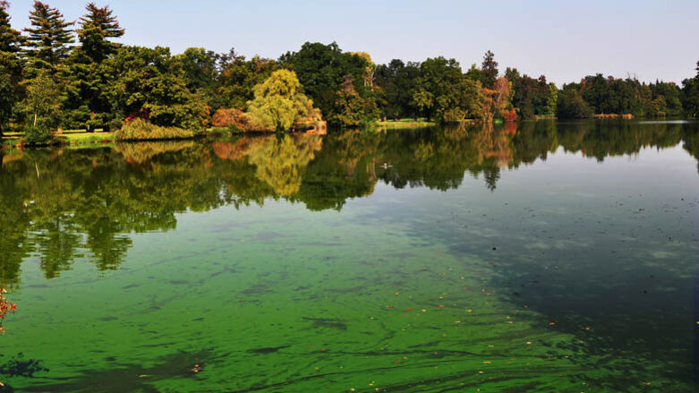 Ricerche sul biofilm orale potrebbero dare nuovo impulso all’odontoiatria