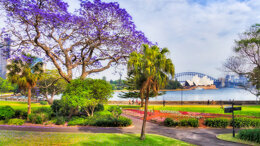 ICOI World Congress 2020