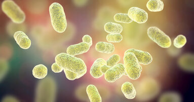 Alzheimer’s drug trial to target P. gingivalis